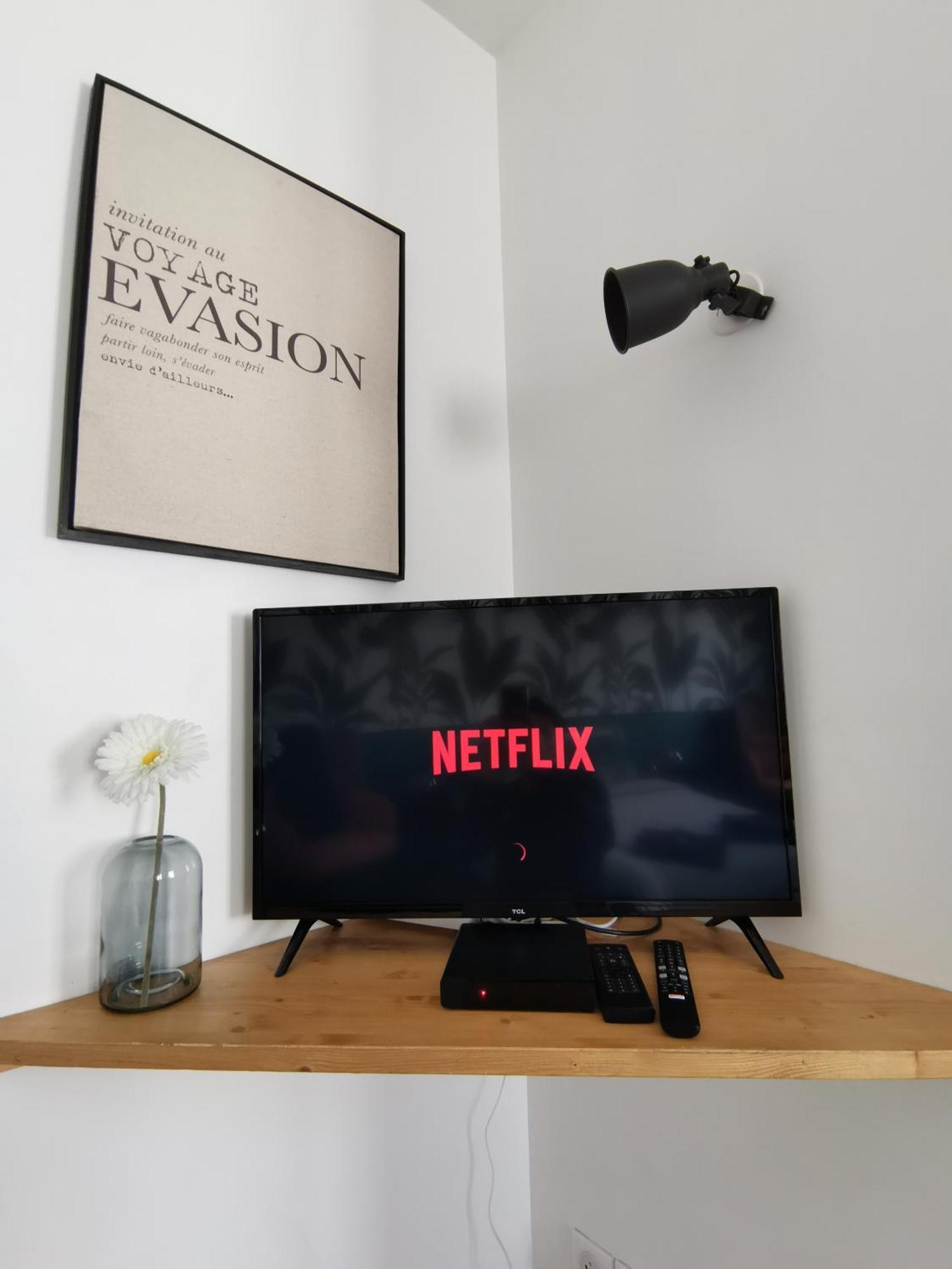 Jungle Studio Gex - Ski - Netflix Luaran gambar
